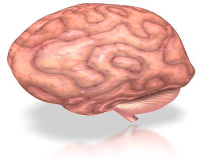 Neuro